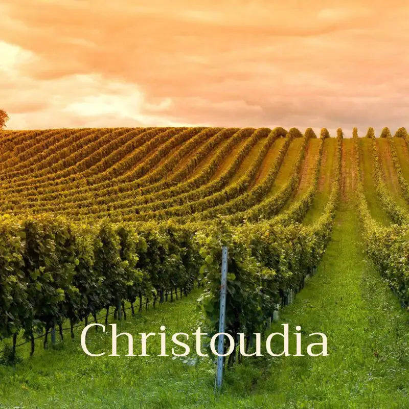 Vineyard with rows of grapevines under a pink sky, featuring the brand 'Christoudia'.