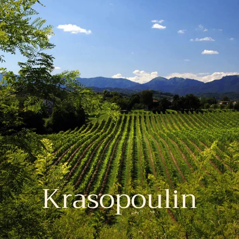 Vineyard with rows of grapevines under a blue sky with mountains in the background, featuring the brand 'Krasopoulin'.